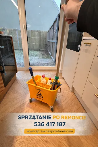 Sprawne Sprzątanie firma sprzątająca w Poznaniu - sprzątanie biur